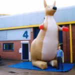 Enormous inflatable kangaroo
