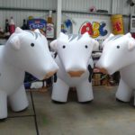 3 inflatable cows for Muller Wiseman