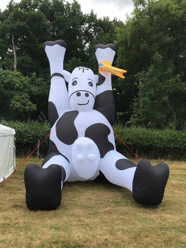 giant inflatable cow