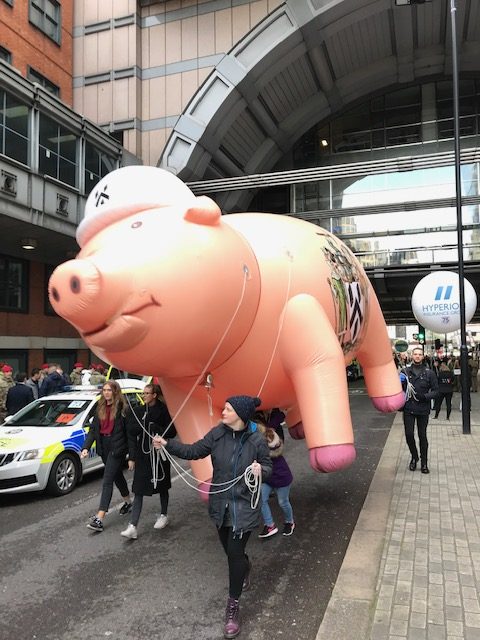 people walking with giant inflatable pig